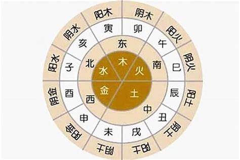 五行喜木火|怎么看自己的八字属性？